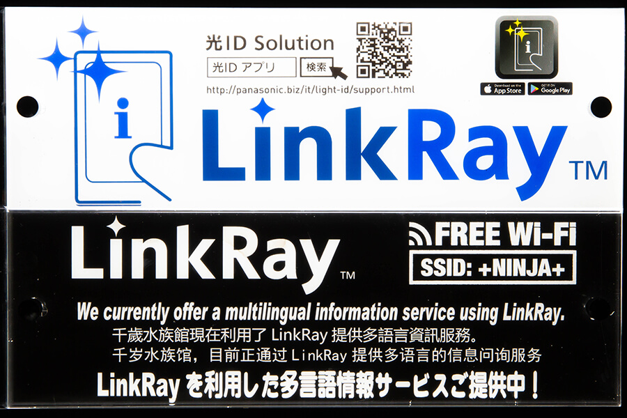 Link-Ray