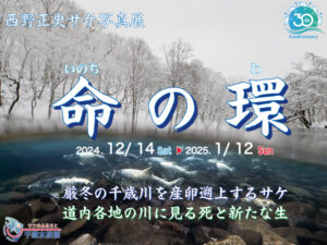 西野正史サケ写真展「命の環」開催