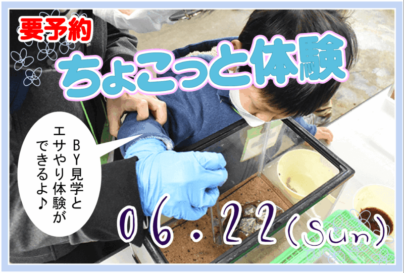 ちょこっと体験6月22日
