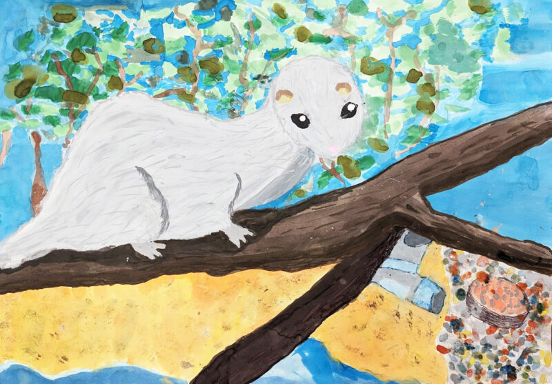 おさかな写生大会（第52回 全道幼児・児童動物画コンクール）作品募集