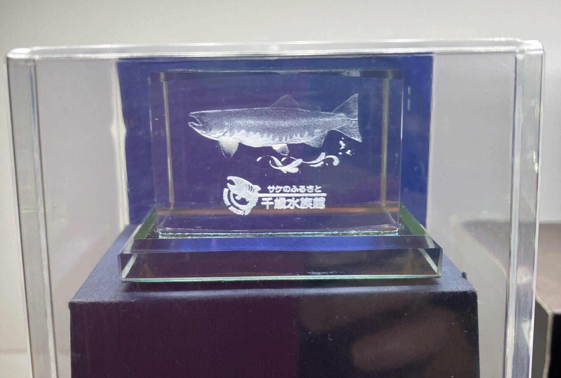 千歳水族館オリジナルサケクリスタル