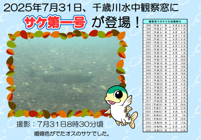 サケ第1号登場!!