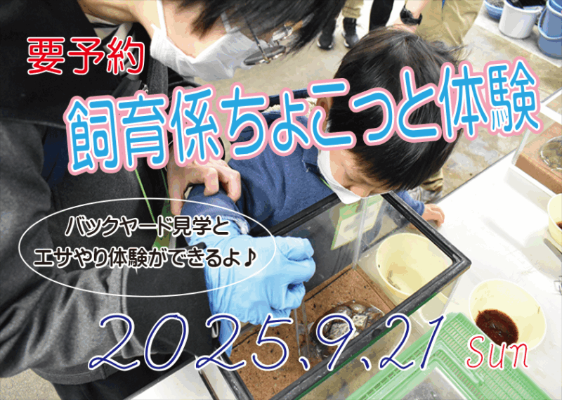 飼育係ちょこっと体験9月21日