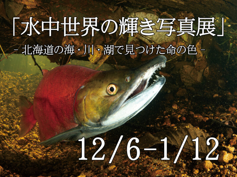 「水中世界の輝き写真展」開催のお知らせ